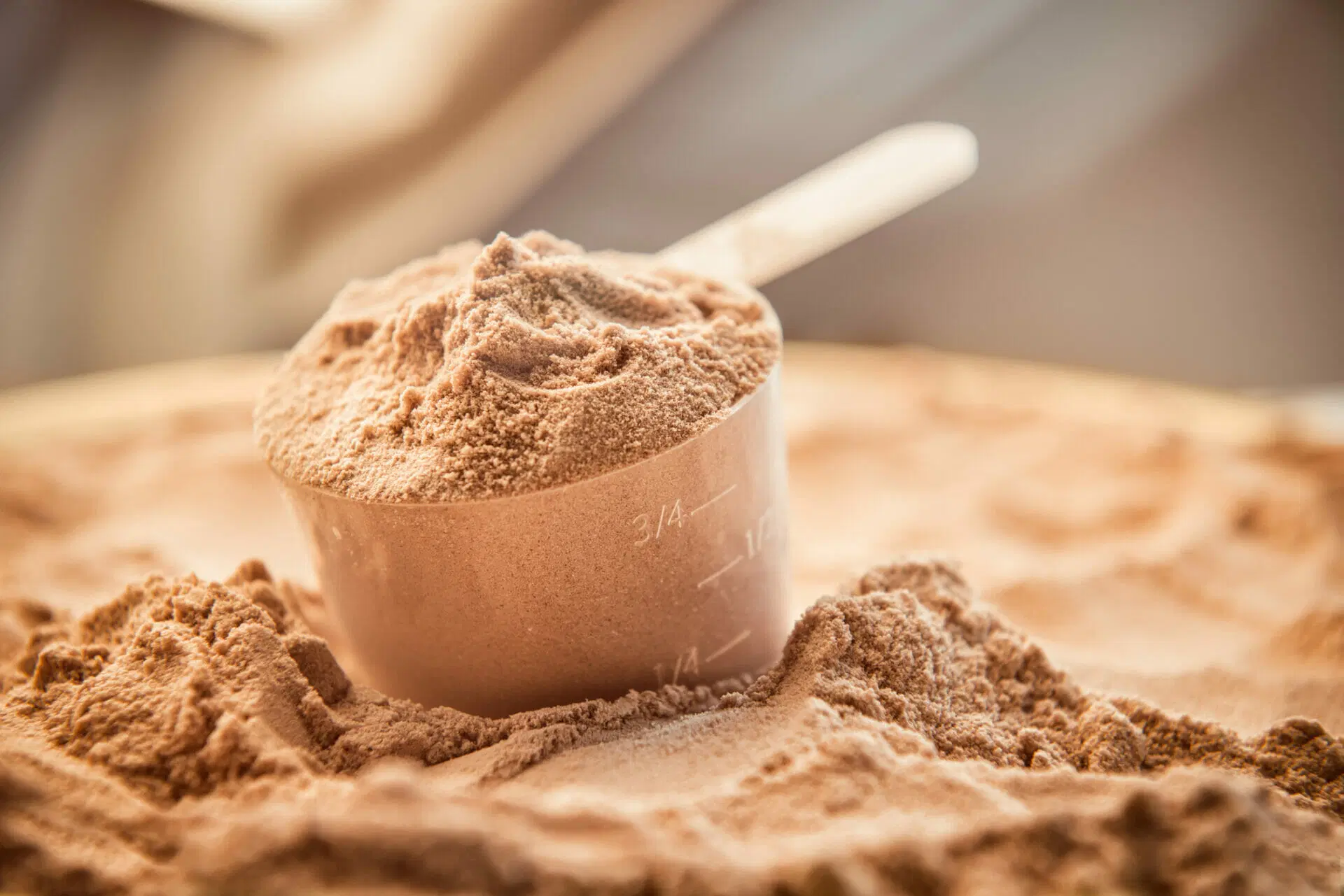 Where to Buy Whey Protein in Bulk: A Guide for Fitness Enthusiasts